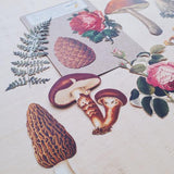 Vintage Style Ephemera - Paper Goodies