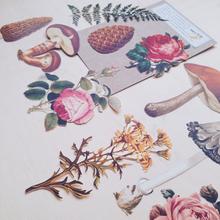 Vintage Style Ephemera - Paper Goodies
