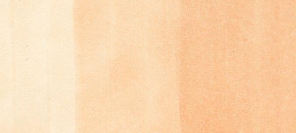 COPIC Various Ink Refill EARTH TONES (E35-E71)