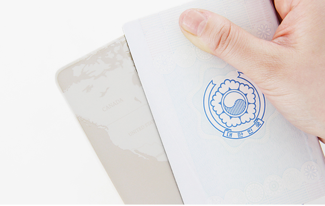 INDIMAP Passport Cover Retro