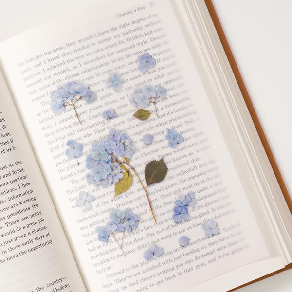 Appree Pressed Flower Sticker Bigleaf Hydrangea