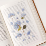 Appree Pressed Flower Sticker Bigleaf Hydrangea
