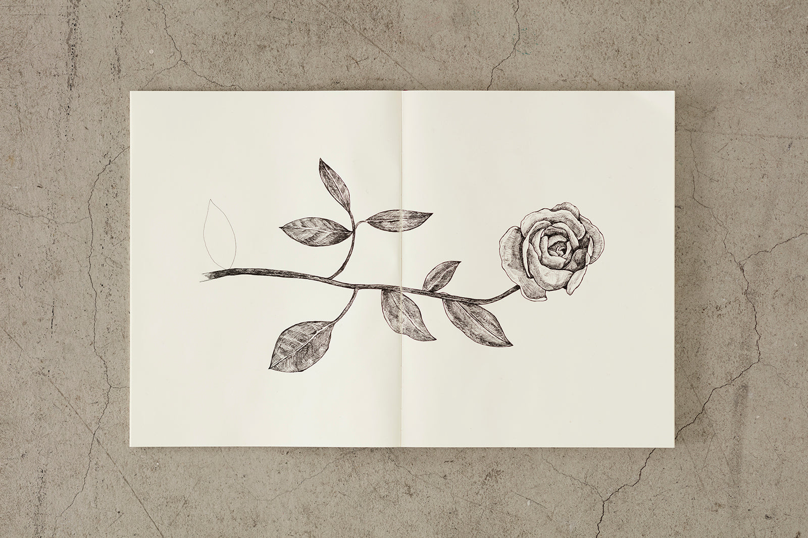 MD Notebook A5 Blank