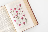 Appree Pressed Flower Sticker
