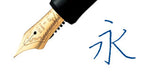 PILOT Custom 74 Fountain Pen Black + Mid Range Box