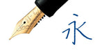 PILOT Custom 74 Fountain Pen Black + Mid Range Box