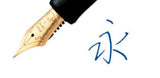 PILOT Custom 74 Fountain Pen Black + Mid Range Box
