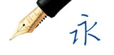 PILOT Custom 74 Fountain Pen Black + Mid Range Box