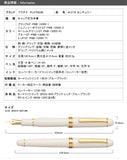 PLATINUM #3376 Century Fountain Pen