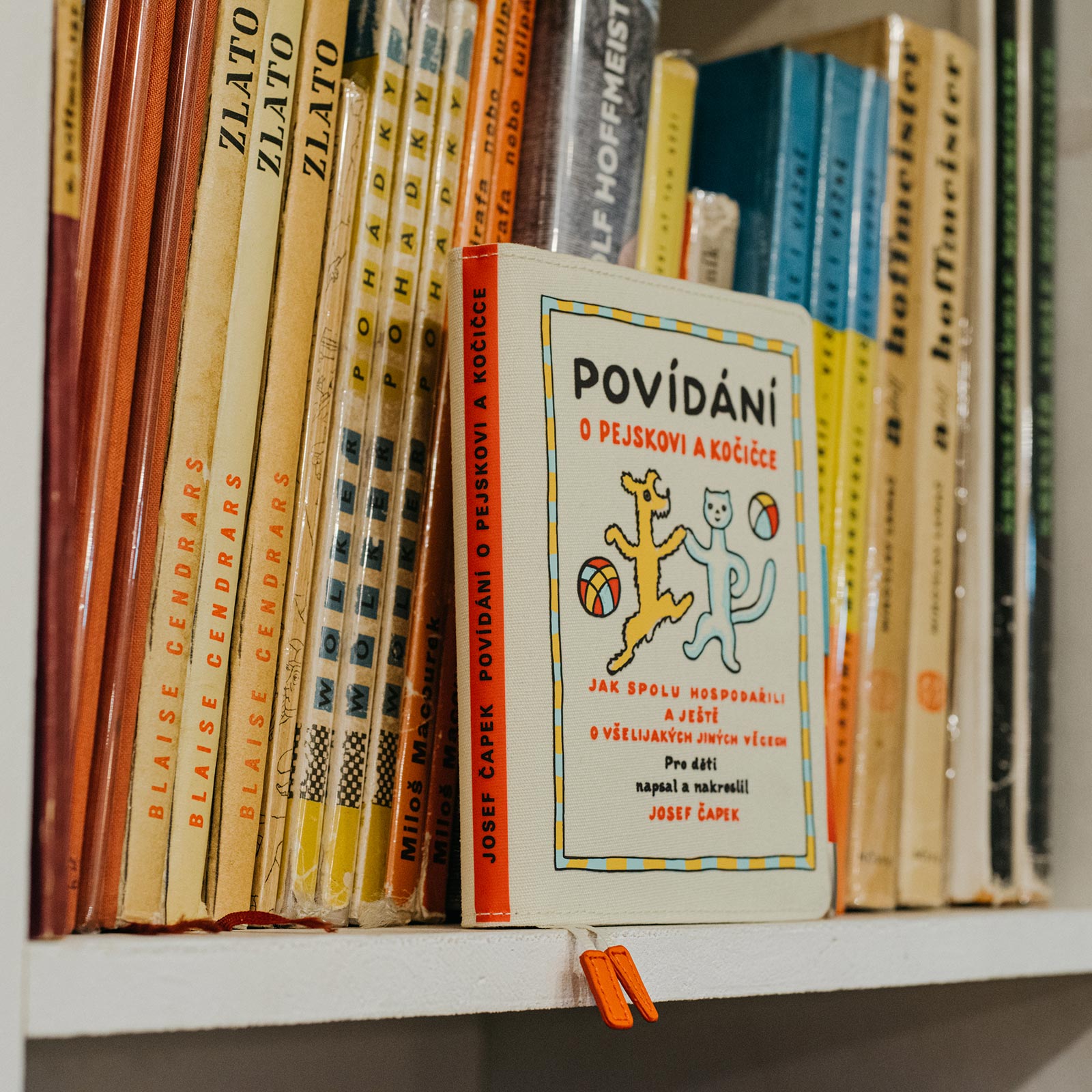 HOBONICHI TECHO 2022 Planner Set A6 Doggie and Pussycat