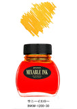 PLATINUM Dyestuff Bottle Ink 60cc Mixable