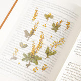 Appree Pressed Flower Sticker Mimosa