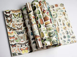 PEPIN Gift & Creative Paper Book 072 Natural History