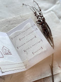 NOVE Simple Words Rubber Stamp Secret