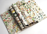 PEPIN Gift & Creative Paper Book 072 Natural History
