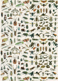 PEPIN Gift & Creative Paper Book 072 Natural History