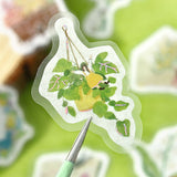 BGM Flakes Seal Petit Story : Gardening