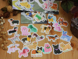 SUPA LUNA Sticker Pack Doggo 20pcs