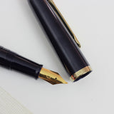 SAILOR Profit Calligraphy Pen