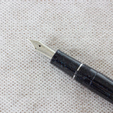 SAILOR Shikiori Hisakata Fountain Pen Hoshikuzu