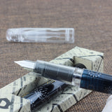 PLATINUM Preppy Wa Modern Maki-e 3rd Edition Fountain Pen Hanabi