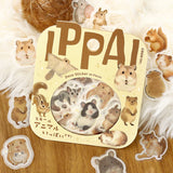 BGM Flakes Seal IPPAI - Small Animals Galore