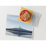 MD Miniature Magnet Tendon