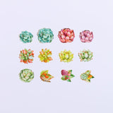 BDA255 多肉植物 WASHI STICKERS