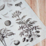 MU Craft Print-On Sticker Botanics 029