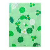 MD 3 Pockets Clear Folder A4 Green