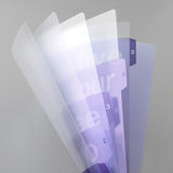 MD 5 Pockets Clear Folder A4 Gradation Purple