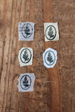 LCN Fern Specimen Metal Stamp Ellipse Common Wedge Let Fern