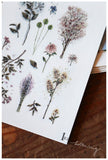 LCN Print-On Stickers Dried Flower