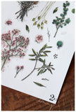 LCN Print-On Stickers Dried Flower