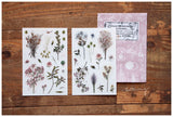 LCN Print-On Stickers Dried Flower