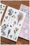 LCN Print-On Stickers Dried Flower