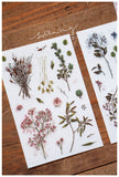 LCN Print-On Stickers Dried Flower