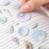 Appree Nature Sticker Seashell