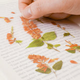 Appree Pressed Flower Sticker Salvia