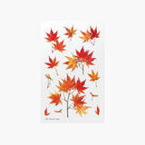 Appree Pressed Flower Sticker Palmate Maple