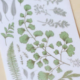 MU Craft Print-On Sticker Ferns Green 050