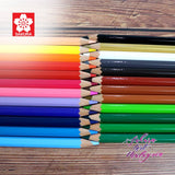 SAKURA Oil Colored Pencils 24Colors Set