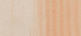COPIC Various Ink Refill RED (R00-R59)