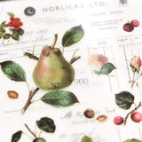 MU Craft Print-On Sticker Fruits 126
