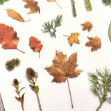 MU Craft Print-On Sticker Dried Leaves 139