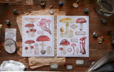 LCN Fungus Sticker Set Washi Paper