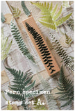 LCN Fern Specimen Stamp Set