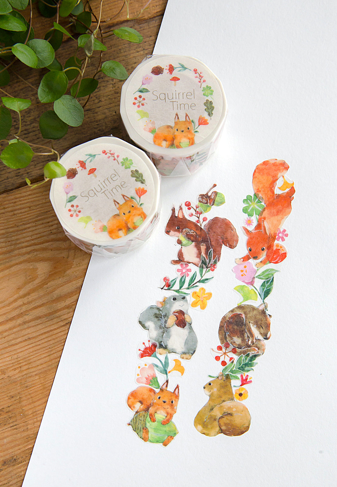 OURS Squirrel Time Washi Tape